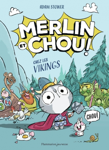MCvikings.jpeg