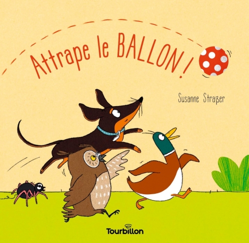 attrape ballon.jpeg
