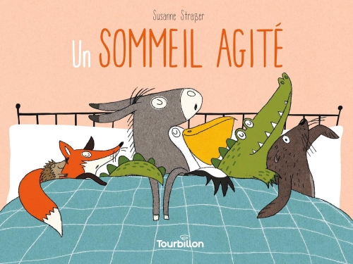 sommeil.jpeg