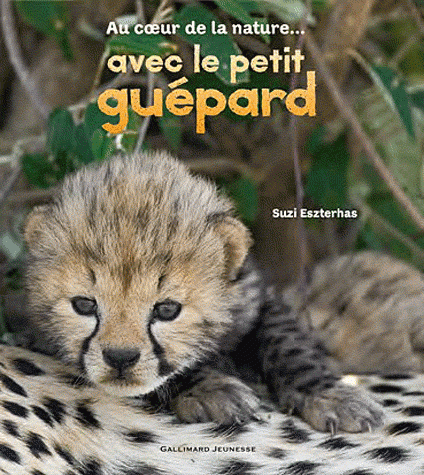 guepard.jpg