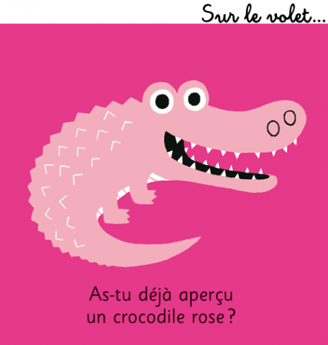 DP-Crocodile.png