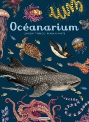 ocean.jpeg