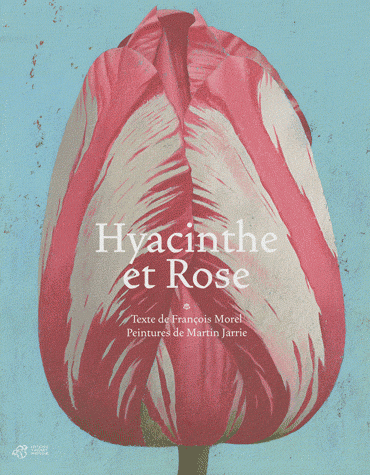 Hyacinthe et Rose.jpg