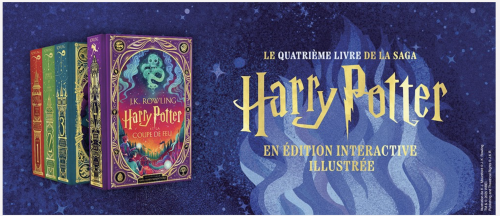 Capture d’écran 2025-11-12 à 12.22.13.png