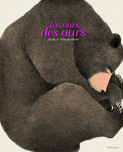couv-un-ours-des-ours-620x767.jpg