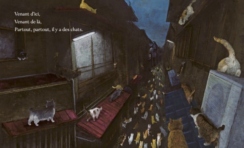 CdF La nuit des chats 11.jpg