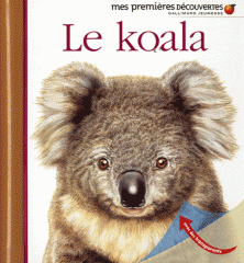 deux premières découvertes,une nuit au musée,le koala,collection mes premières découvertes,gallimard jeunesse