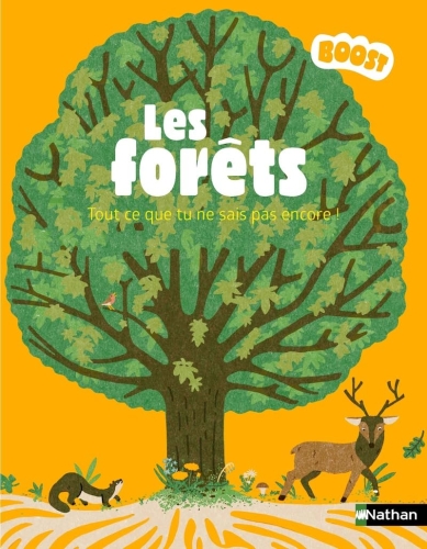 61Ir+6BFWEL._SL1028_.jpg