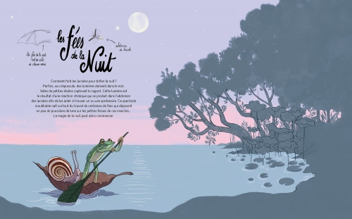 Extraits Concours de fées (4).jpg