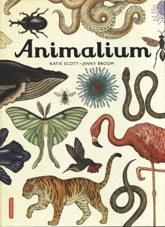 animalium.jpeg