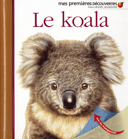 deux premières découvertes, une nuit au musée, le koala, collection mes premières découvertes, gallimard jeunesse